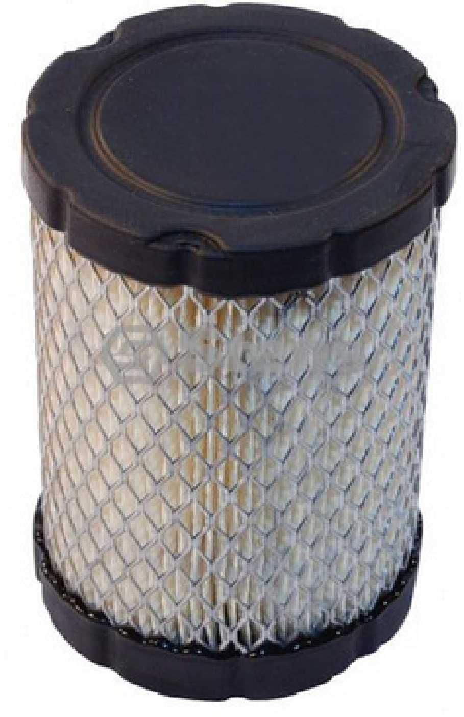 Air cleaner element 796031 591334 replaces: B&S  31C700  31P677 