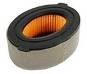 Air Filter 751-10794 951-10794 replaces:  MTD 161-VH 170 170-T0A 170-V0A